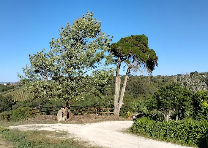 Фермерский дом Quinta Do Oratorio